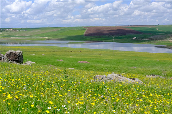 土壤水分溫度測(cè)定儀 土壤水分溫度測(cè)定儀