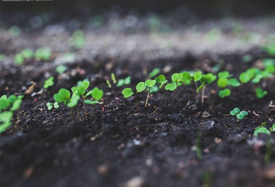土壤水分檢測(cè)儀